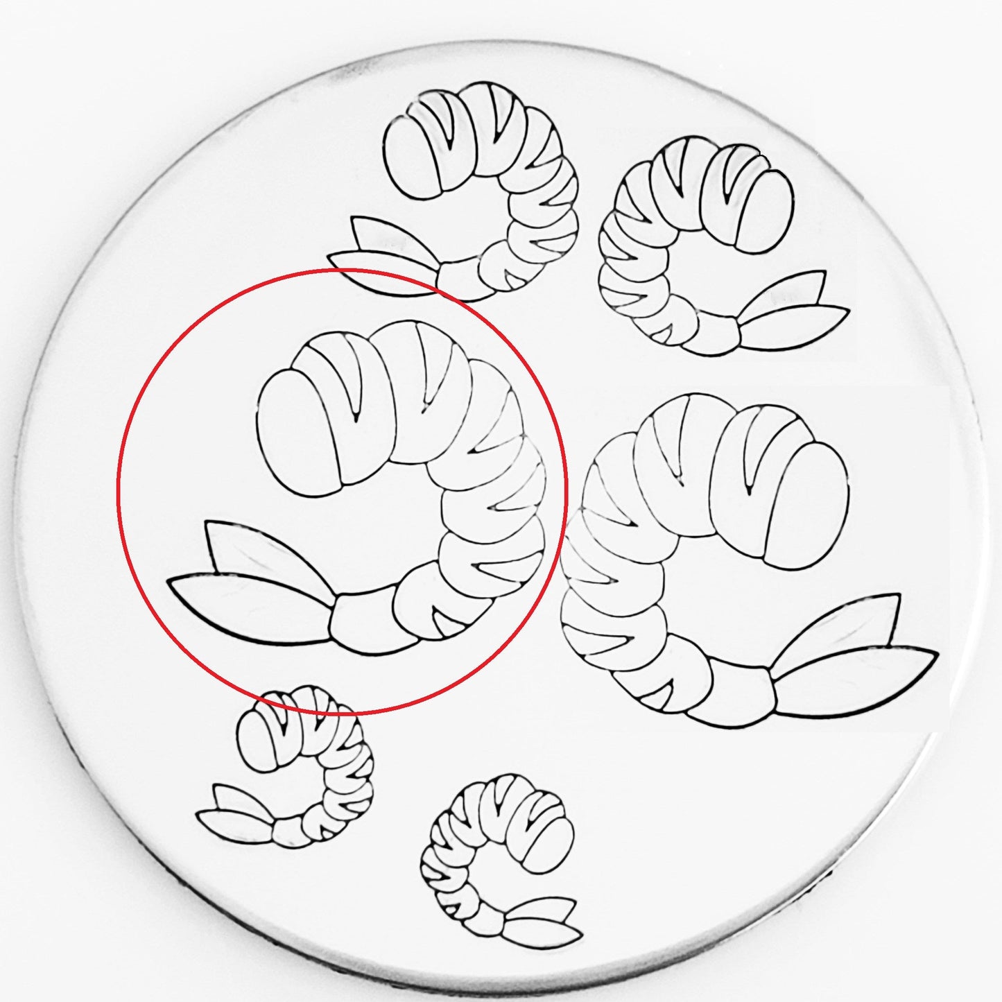 Shrimp #02 - Overstock