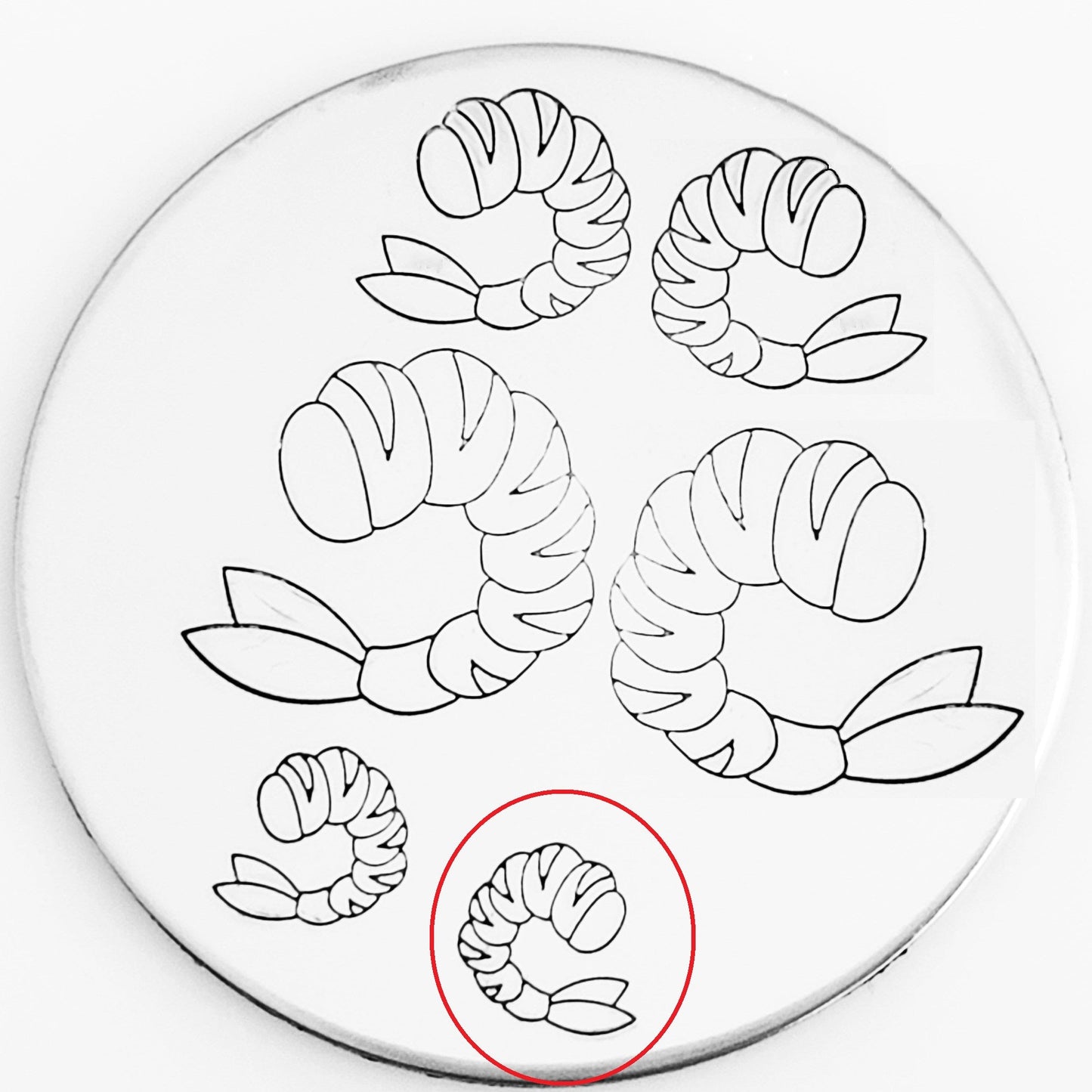 Shrimp #02 - Overstock