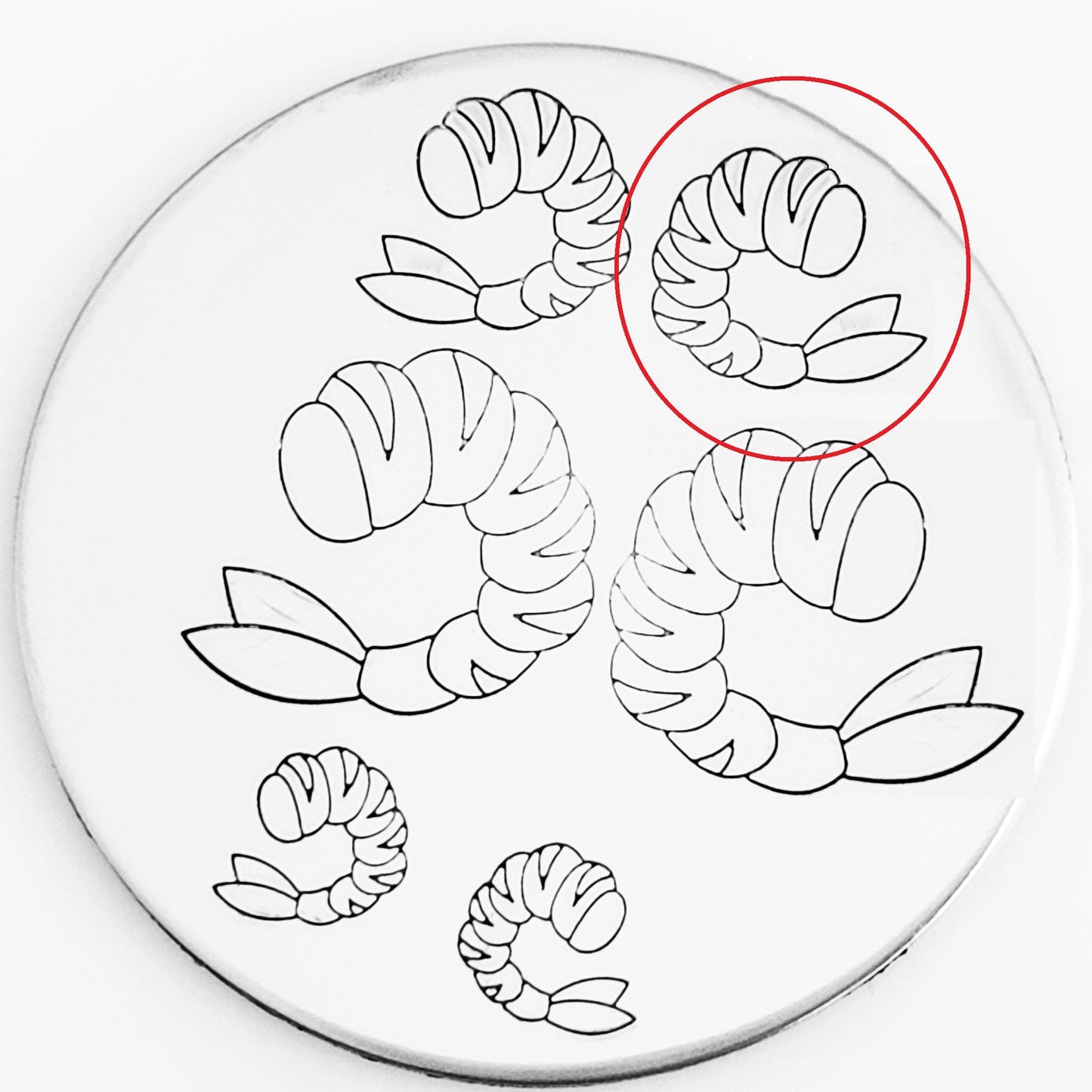 Shrimp #02 - Overstock