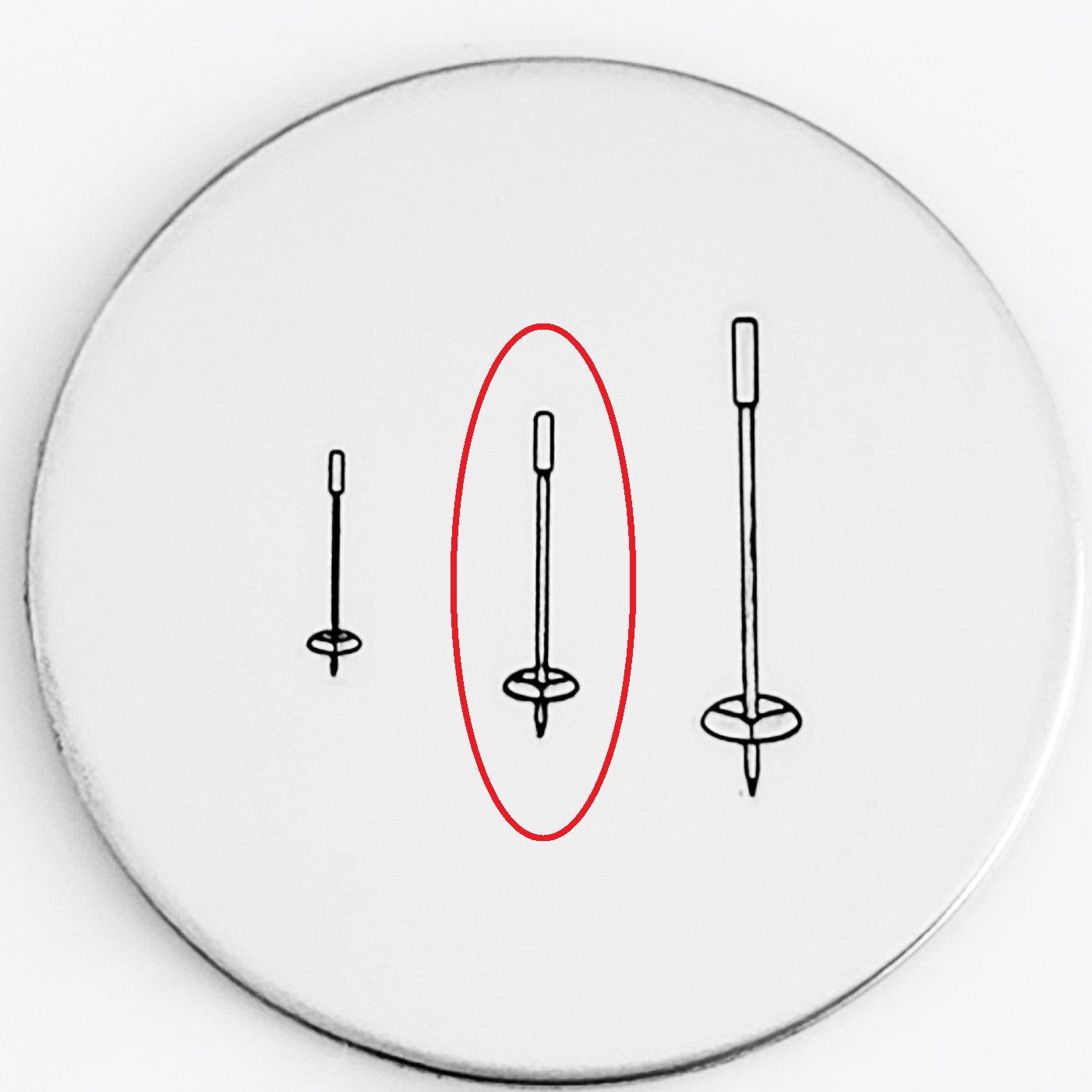 Ski Pole