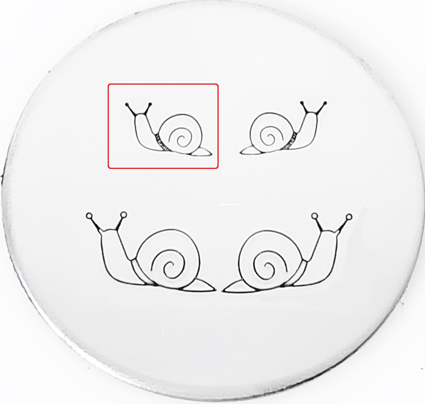Snail