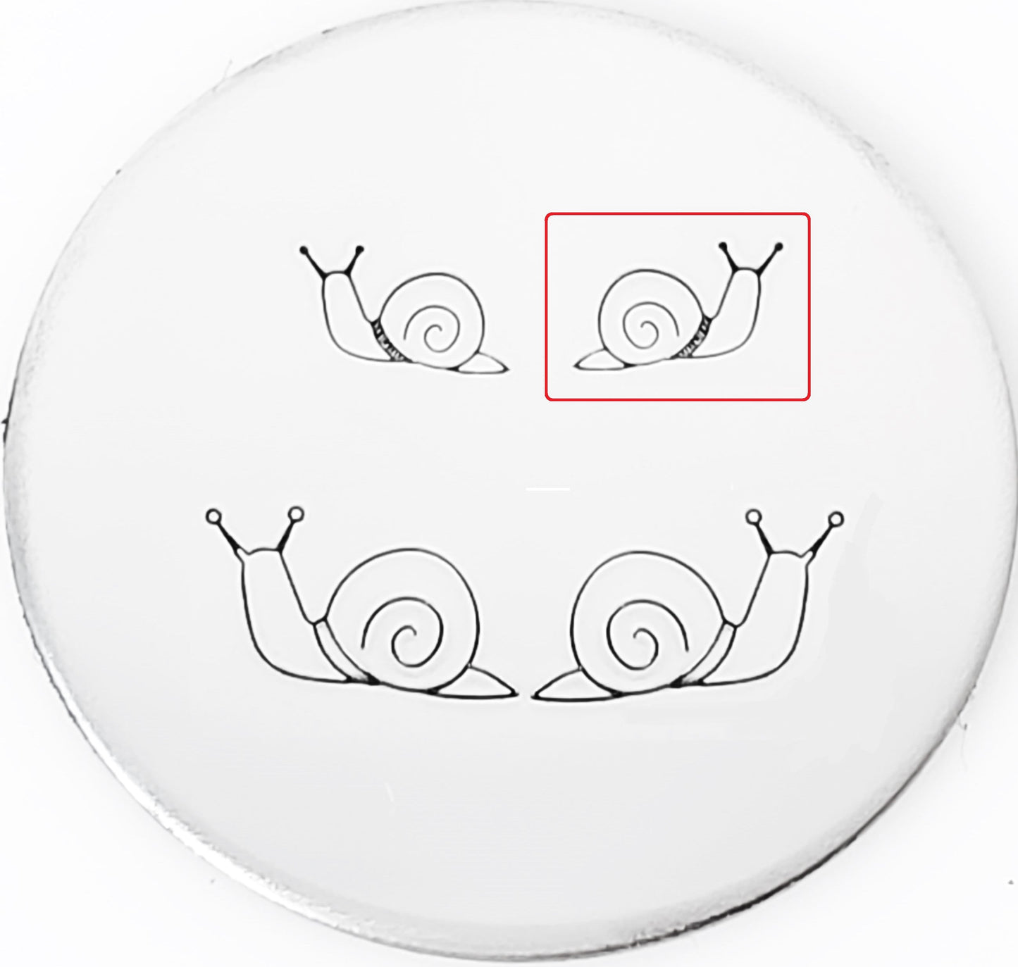 Snail