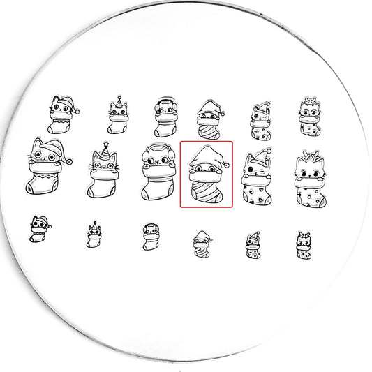 V02216-StockingCat#04-12