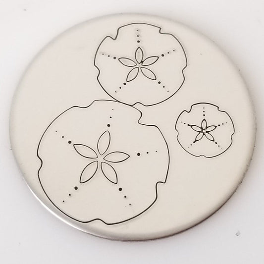 Sand Dollar