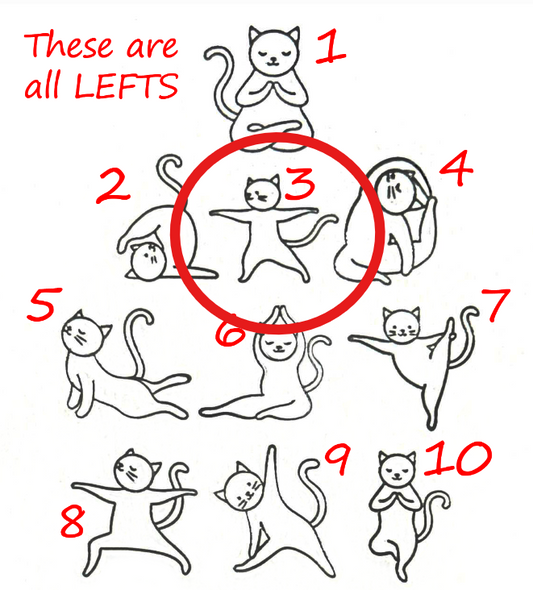 X2578-YOGA CAT #03-8-R