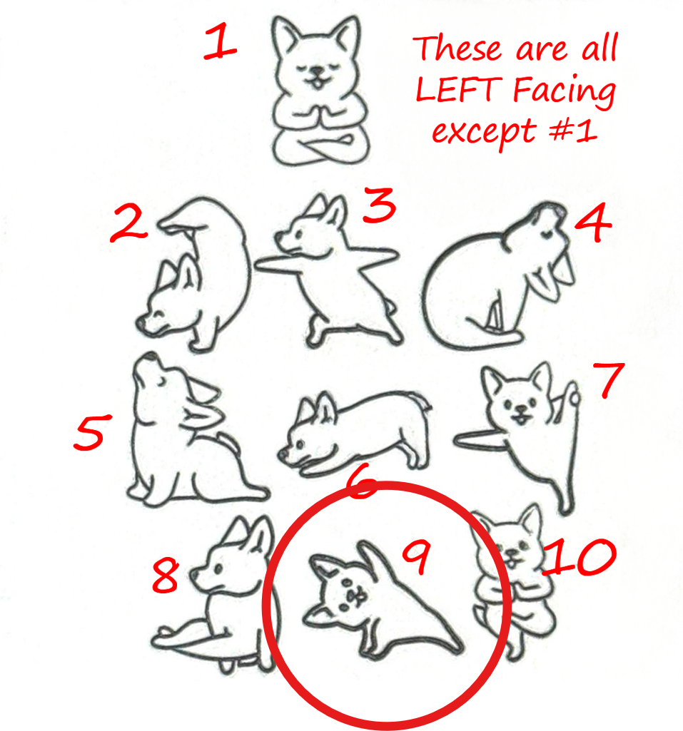 X2608-YOGA DOG #09-8-L