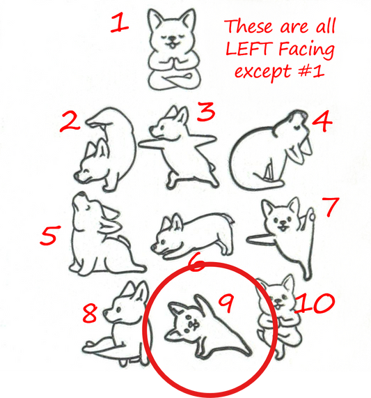 X2608-YOGA DOG #09-8-L