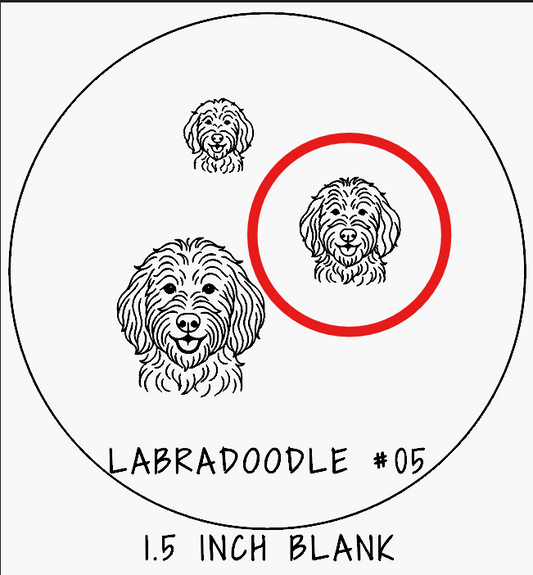 X2629-LABRADOODLE #05-8  2of2