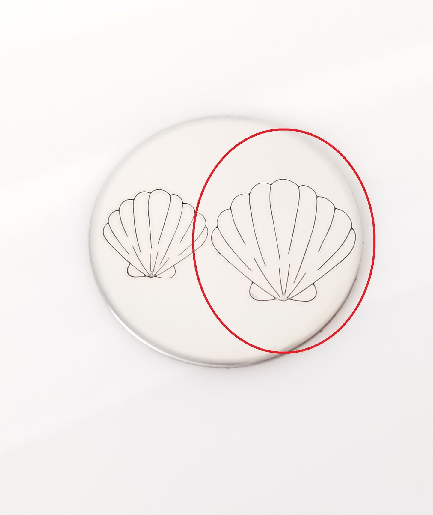 Seashells