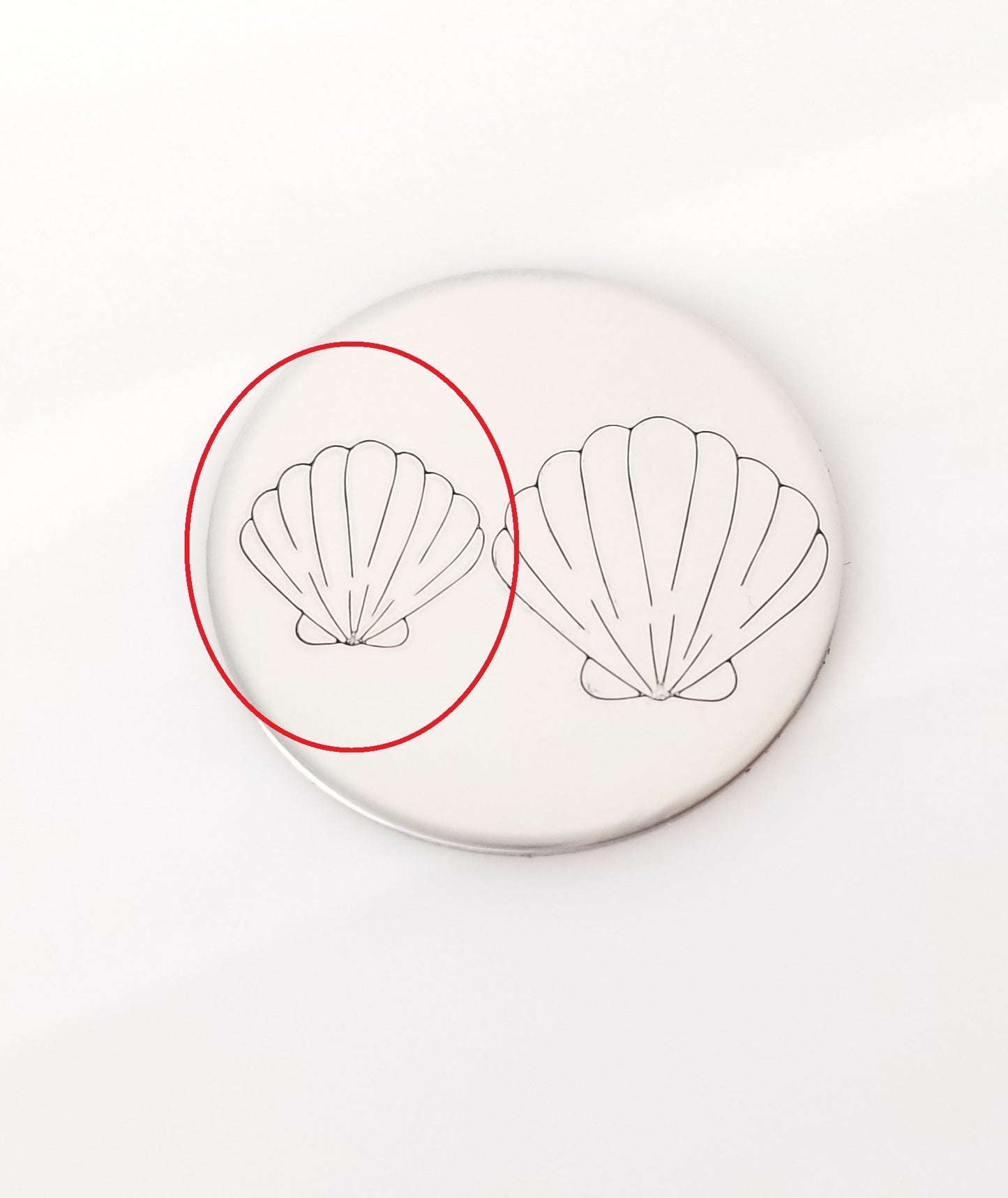 Seashells