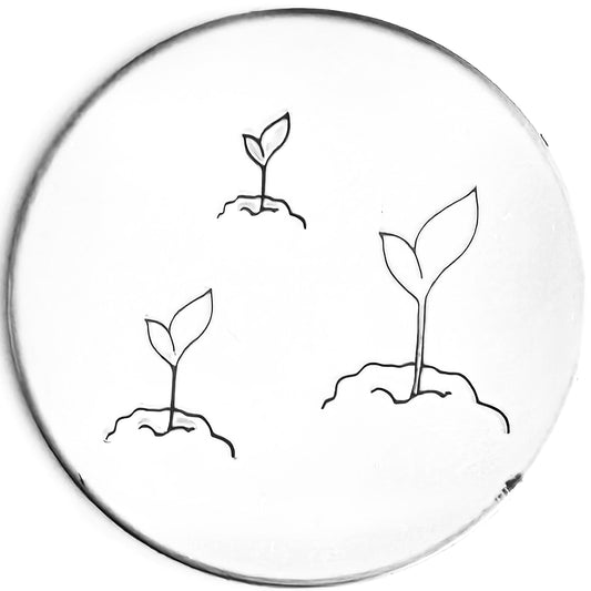 Seedling #01