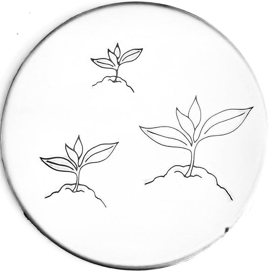 Seedling #02