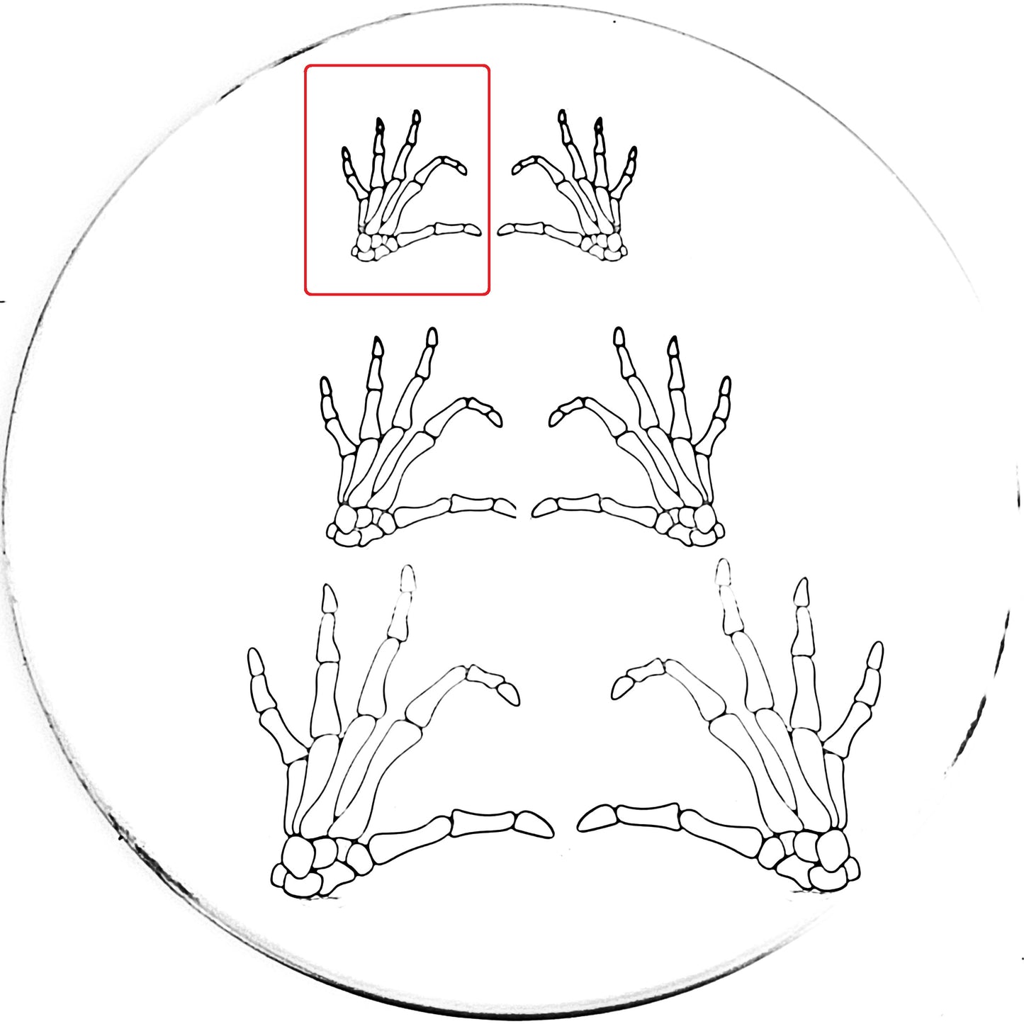 Skeleton Heart Hand