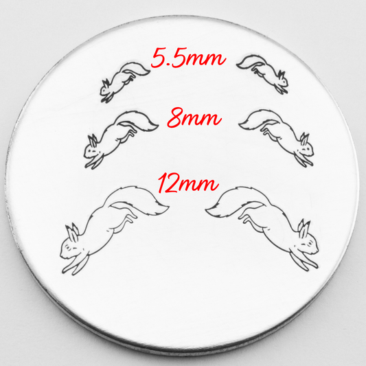 X02555-Squirrel #1-8-R