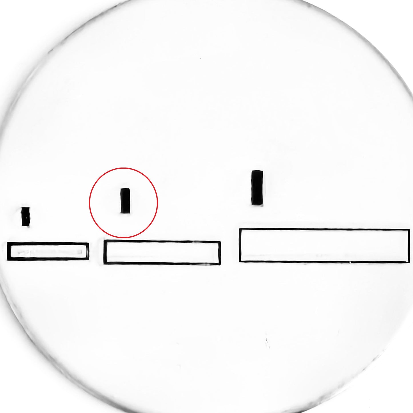 Status Bar