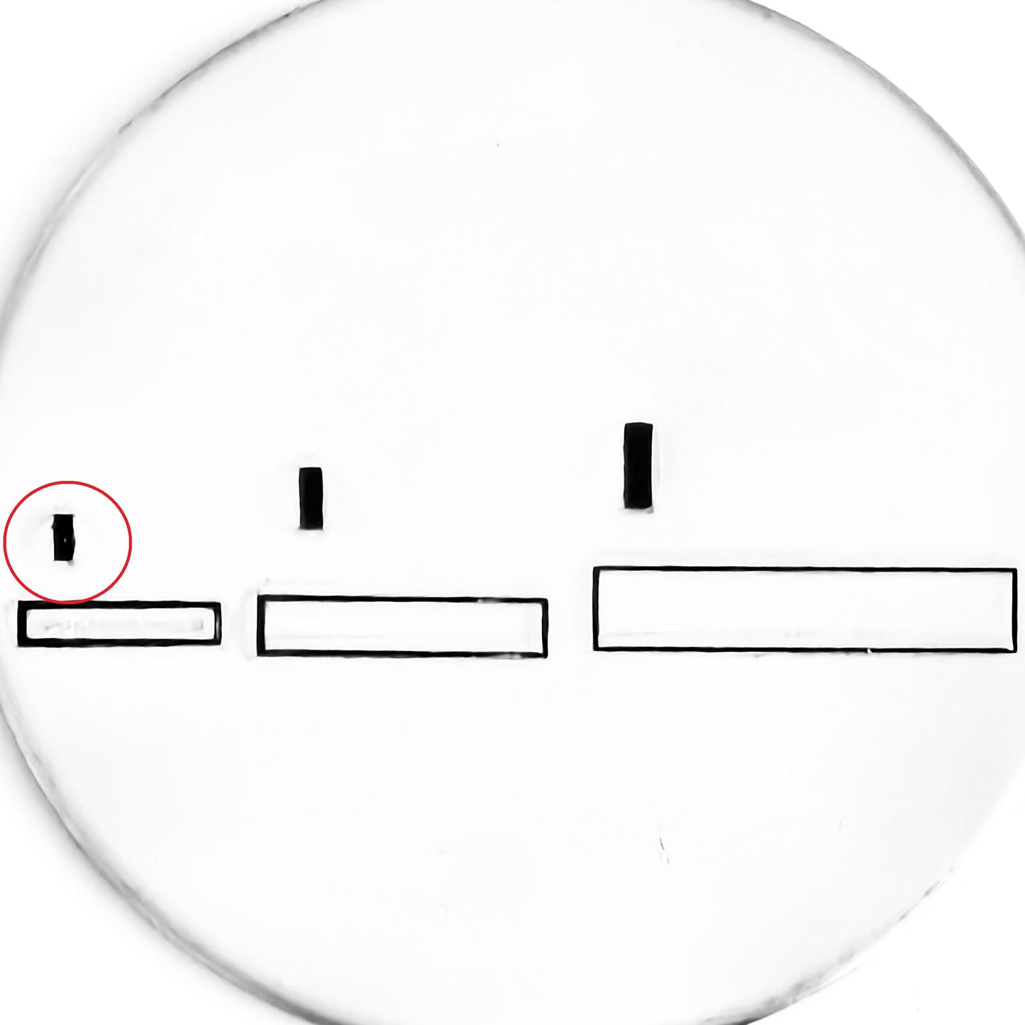 Status Bar