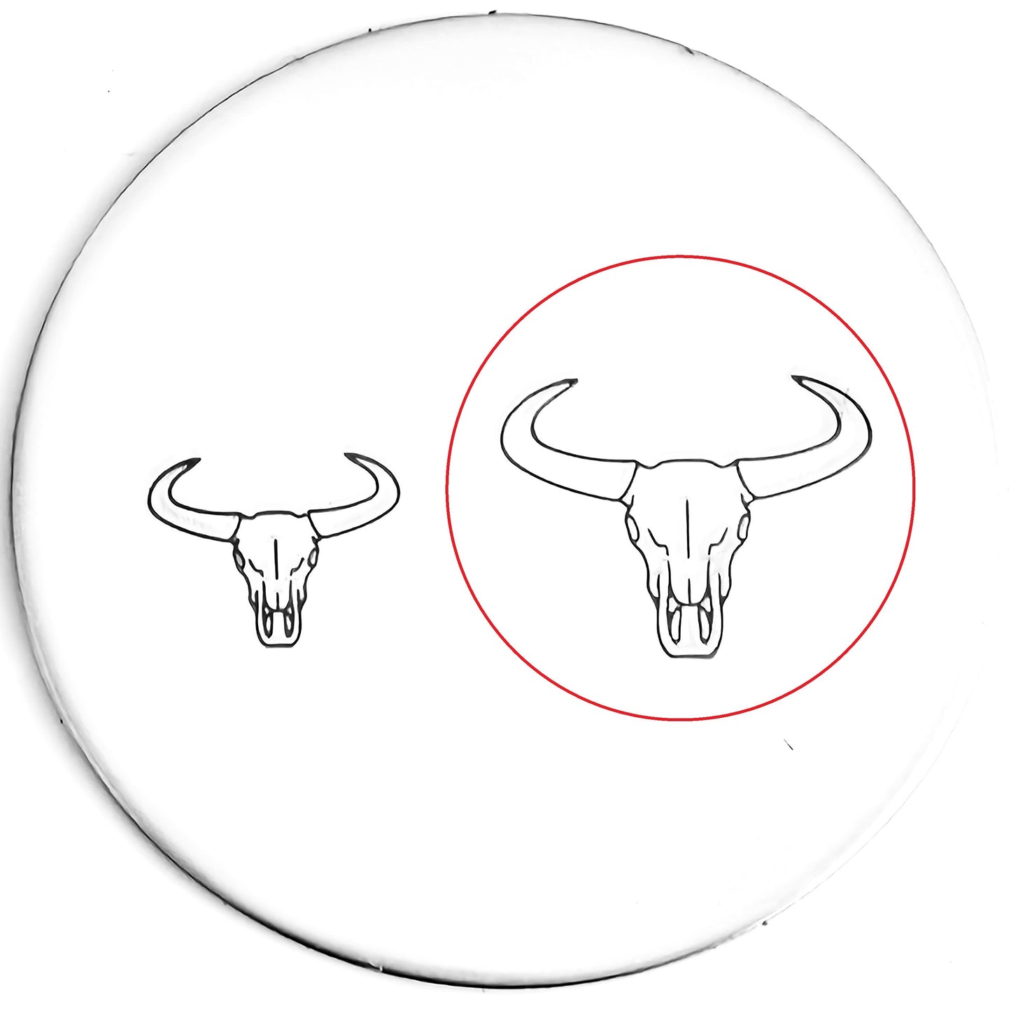 Bull Skull