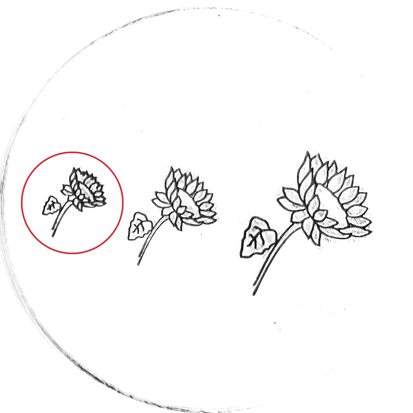 Sunflower #02