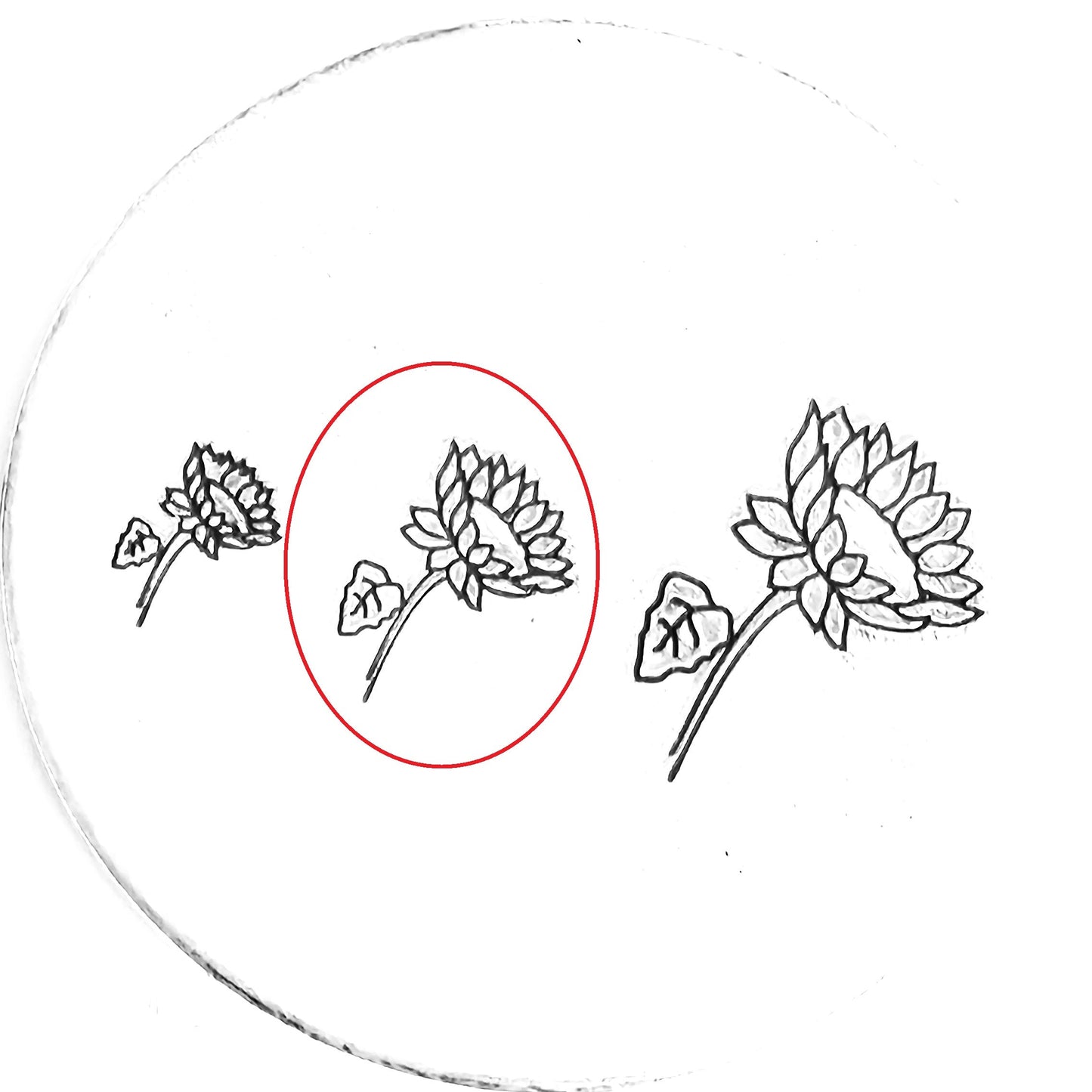 Sunflower #02