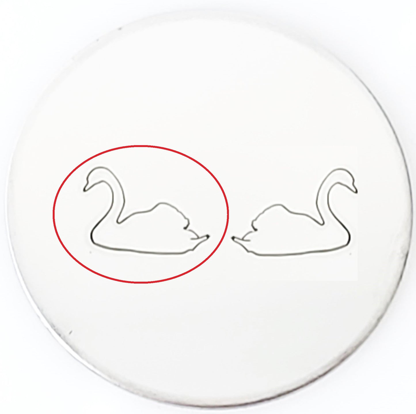 Swan