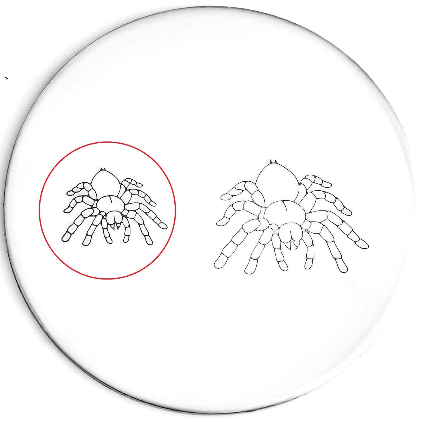 Tarantula