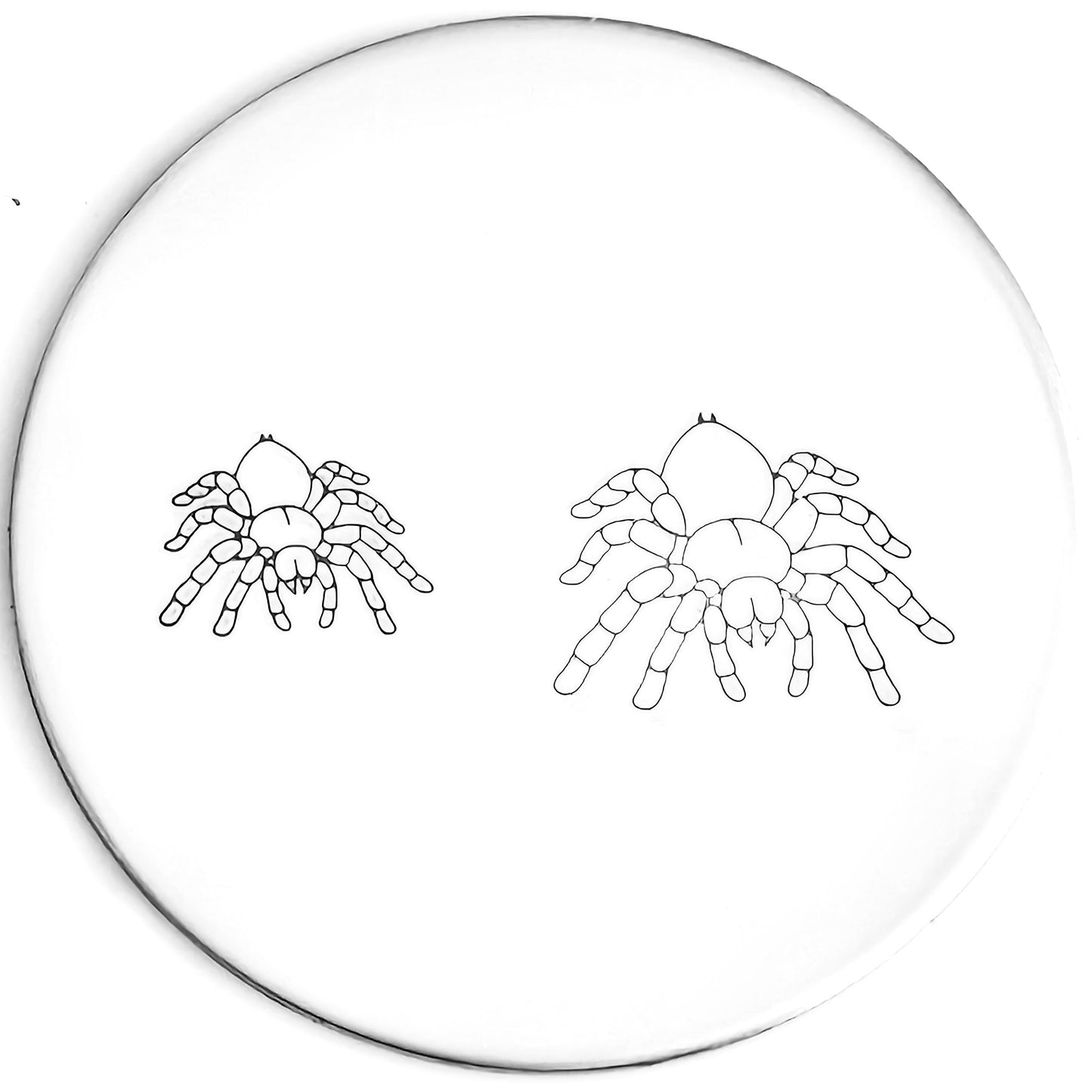 Tarantula