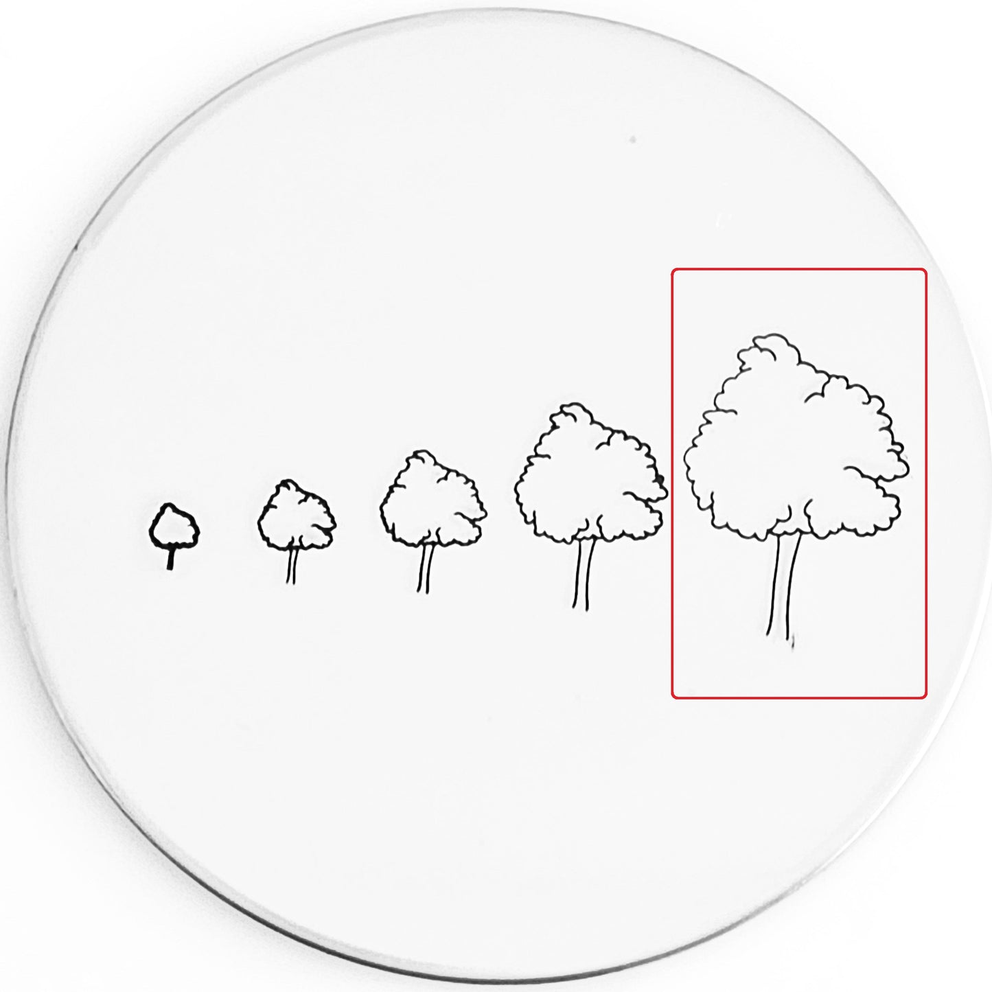 Hand Drawn Tree #01