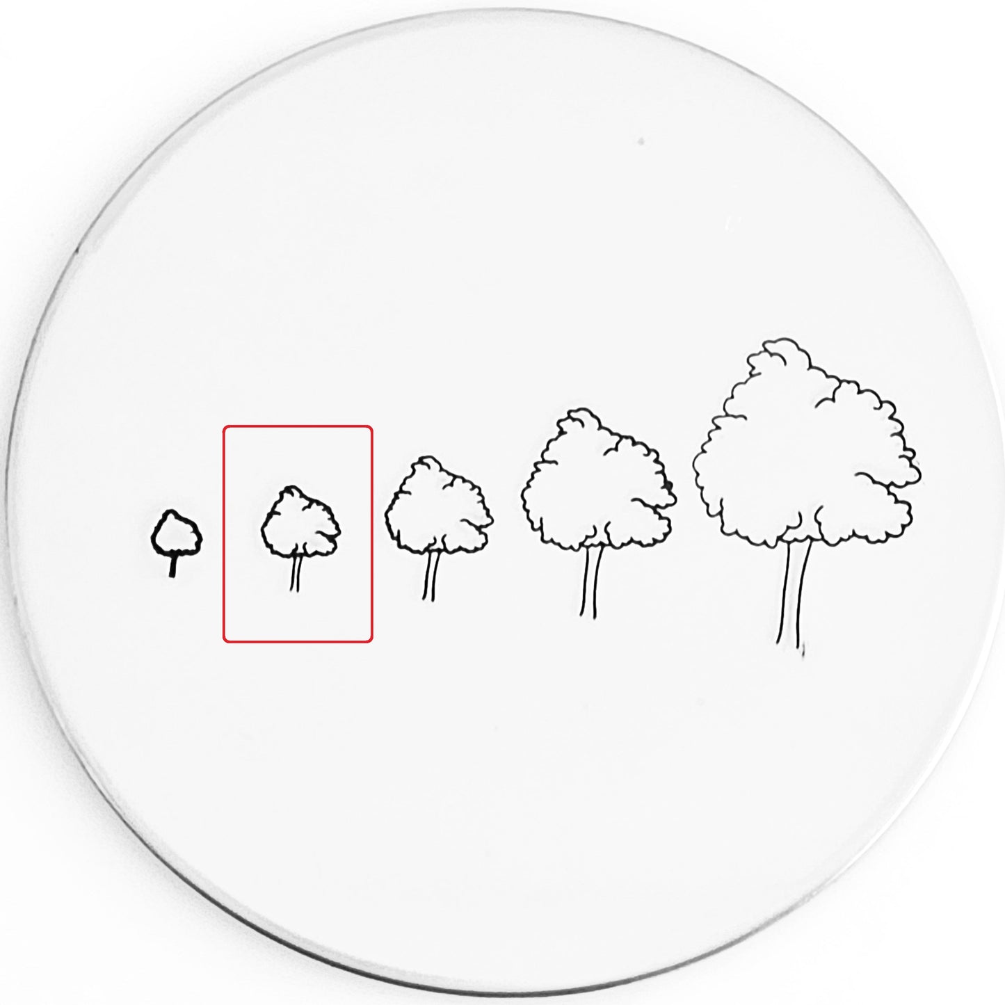 Hand Drawn Tree #01