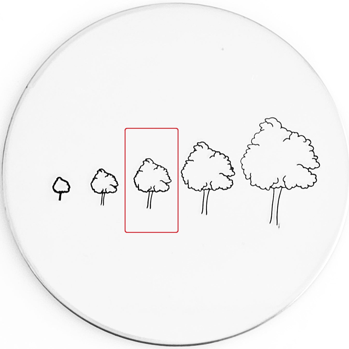 Hand Drawn Tree #01