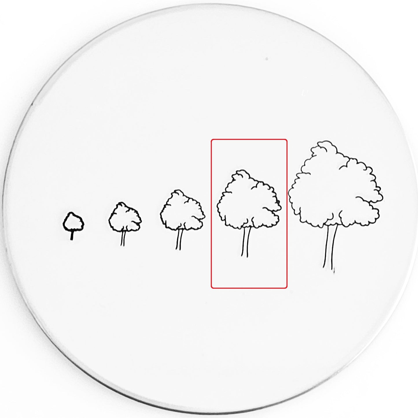 Hand Drawn Tree #01