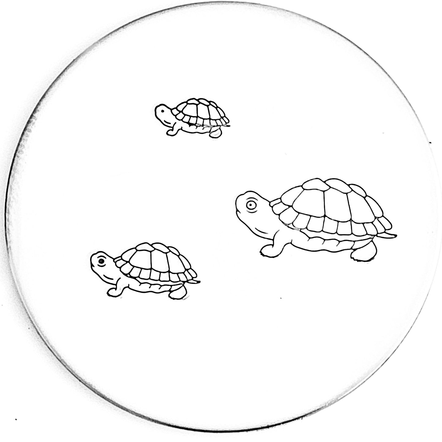 Turtle