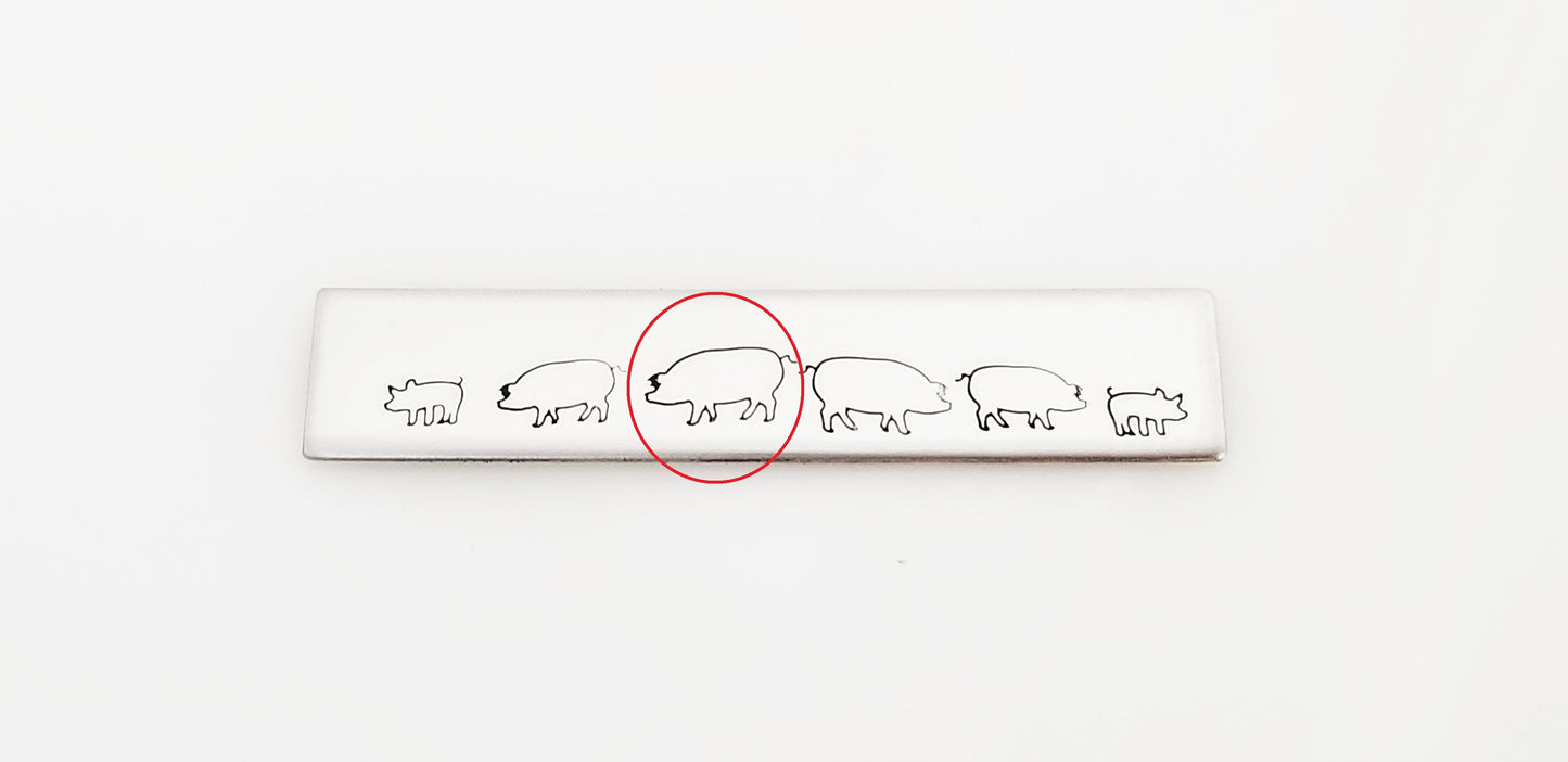 Pig