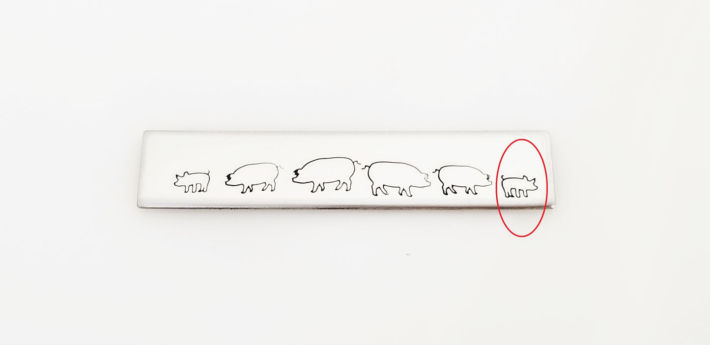 Pig