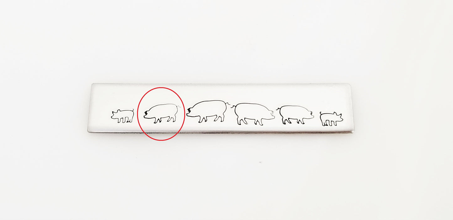 Pig