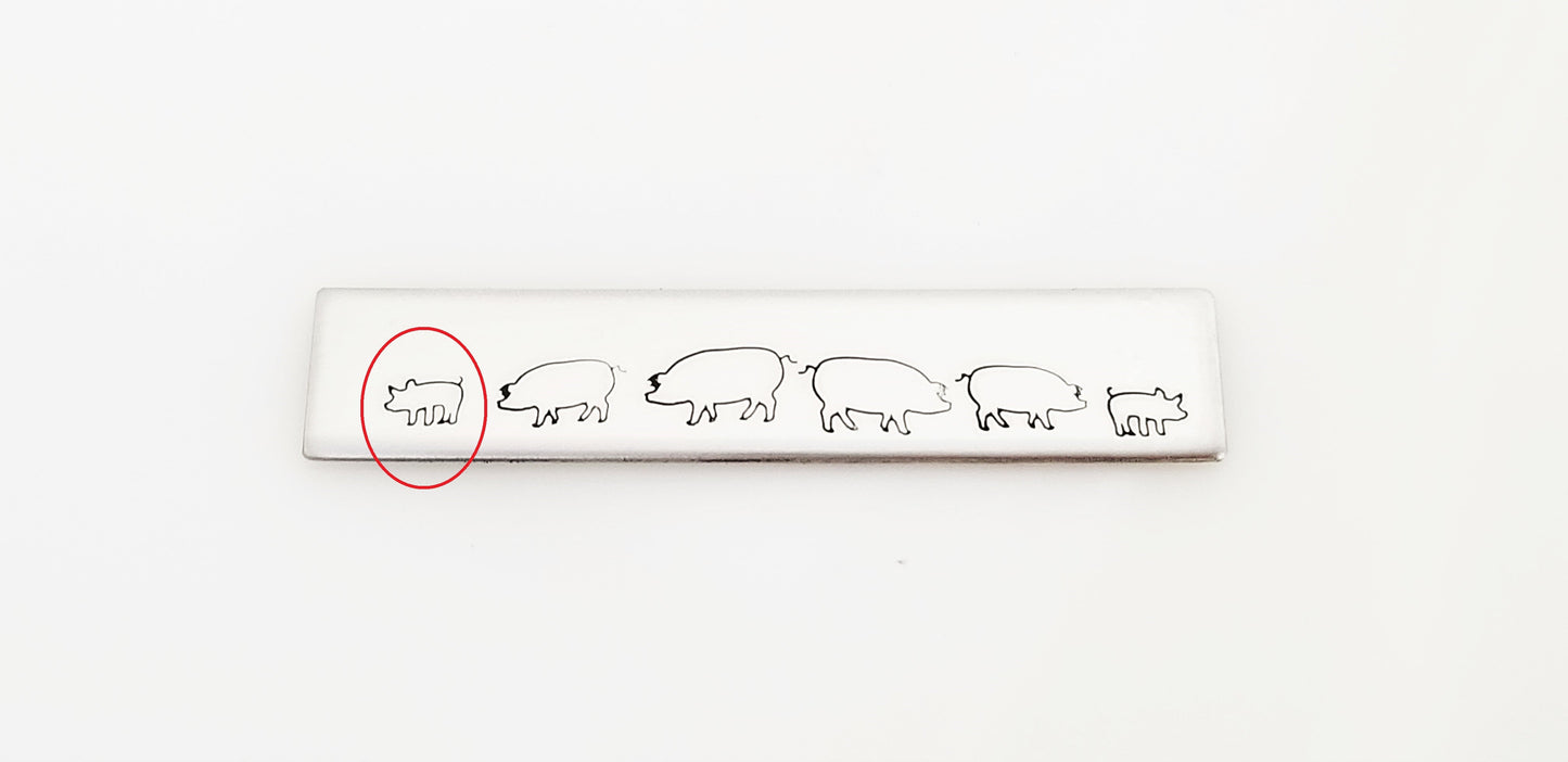 Pig