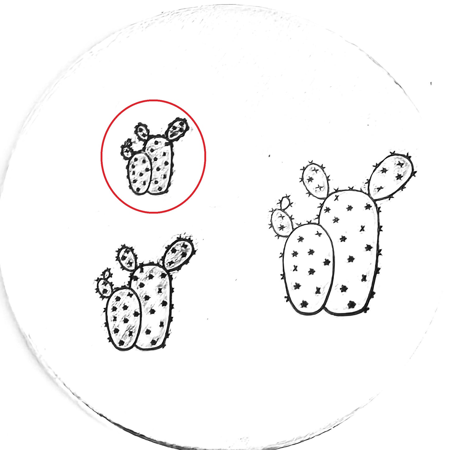 Cactus #09