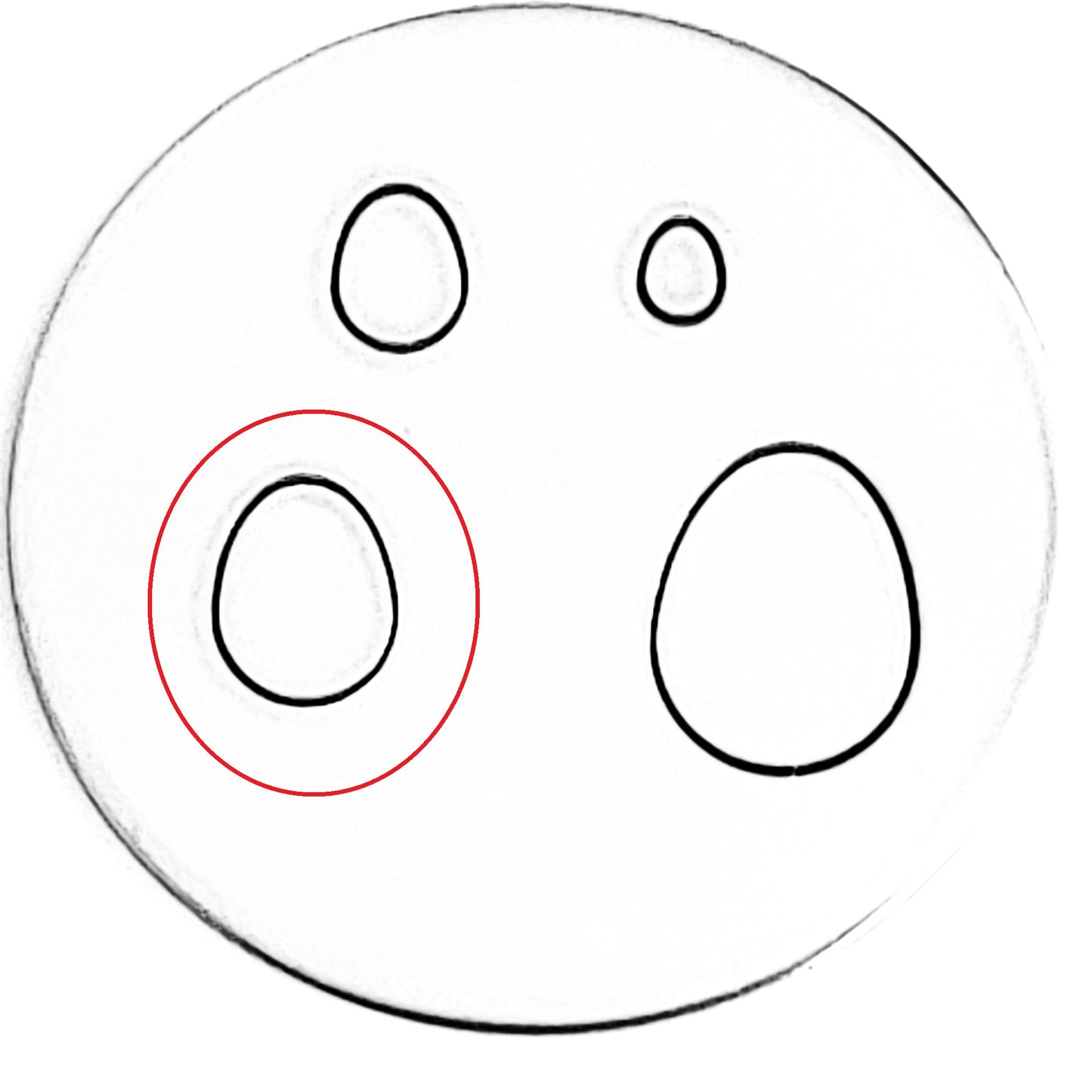 Whole Egg