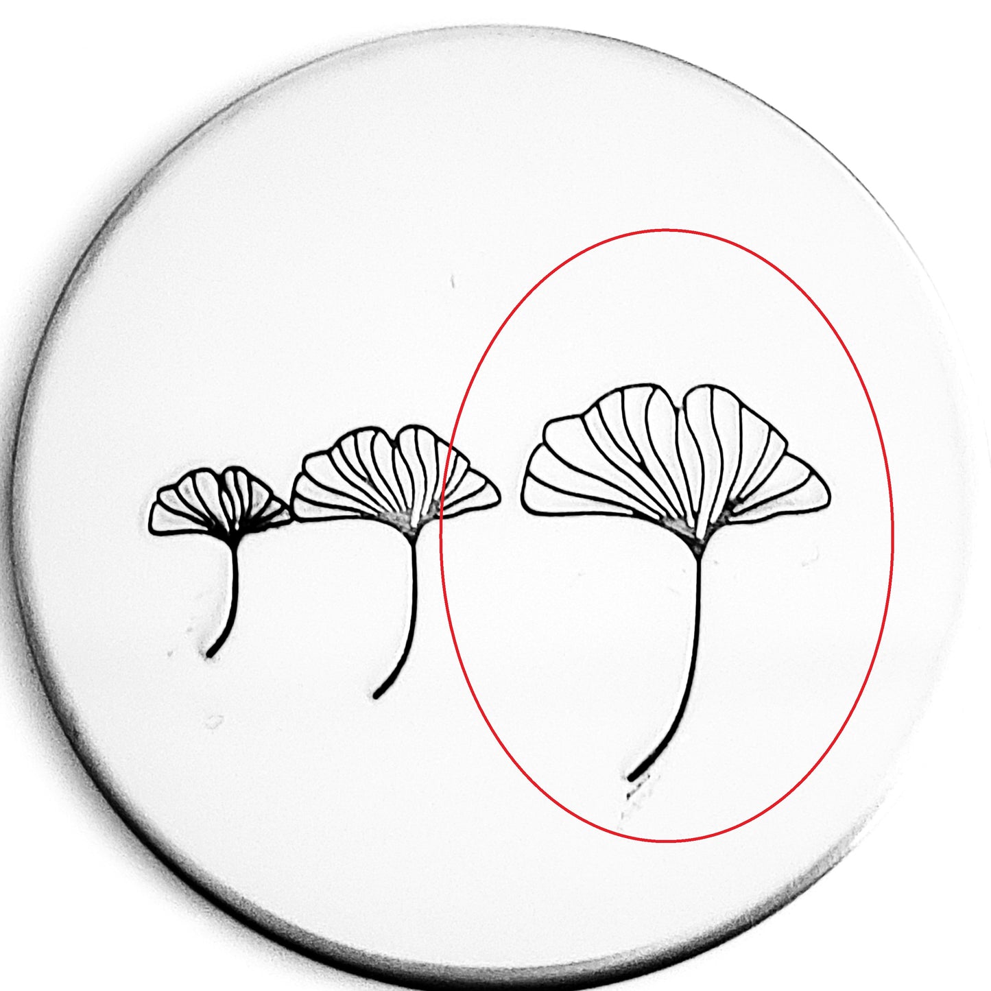 Ginkgo Leaf #01