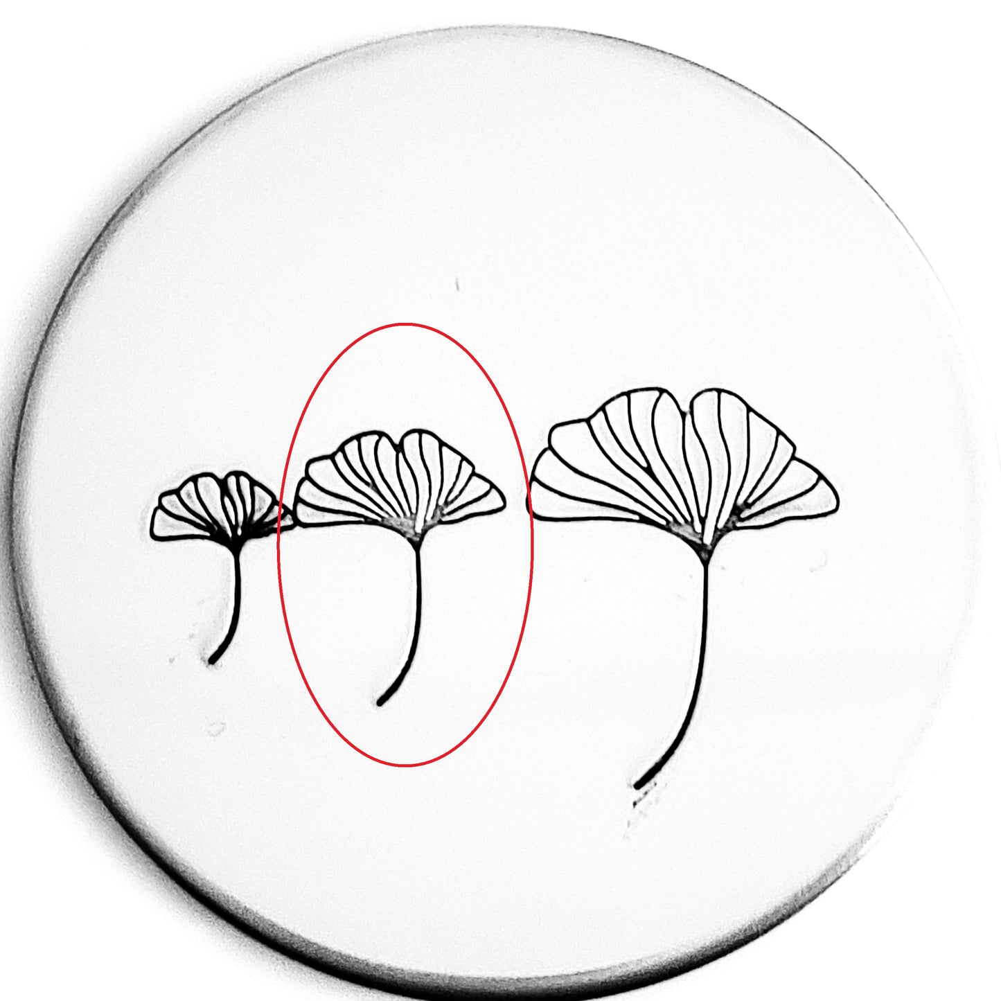 Ginkgo Leaf #01