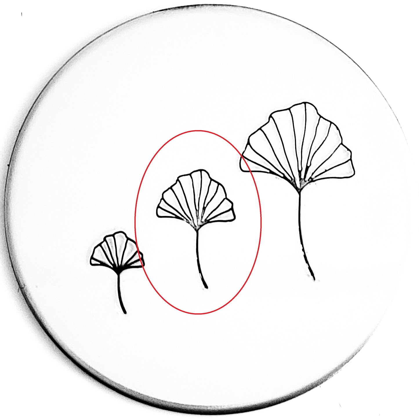 Ginkgo Leaf #02