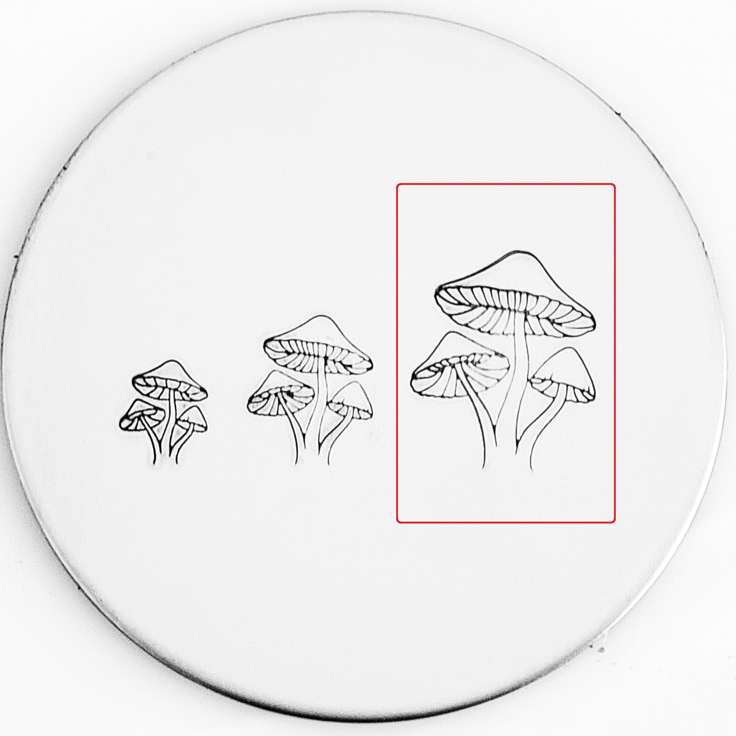 Mushroom #06