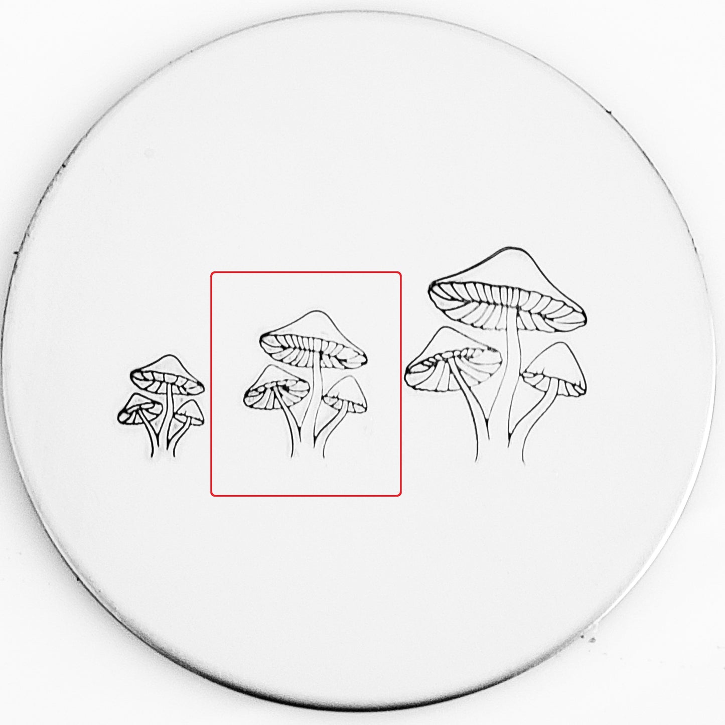 Mushroom #06