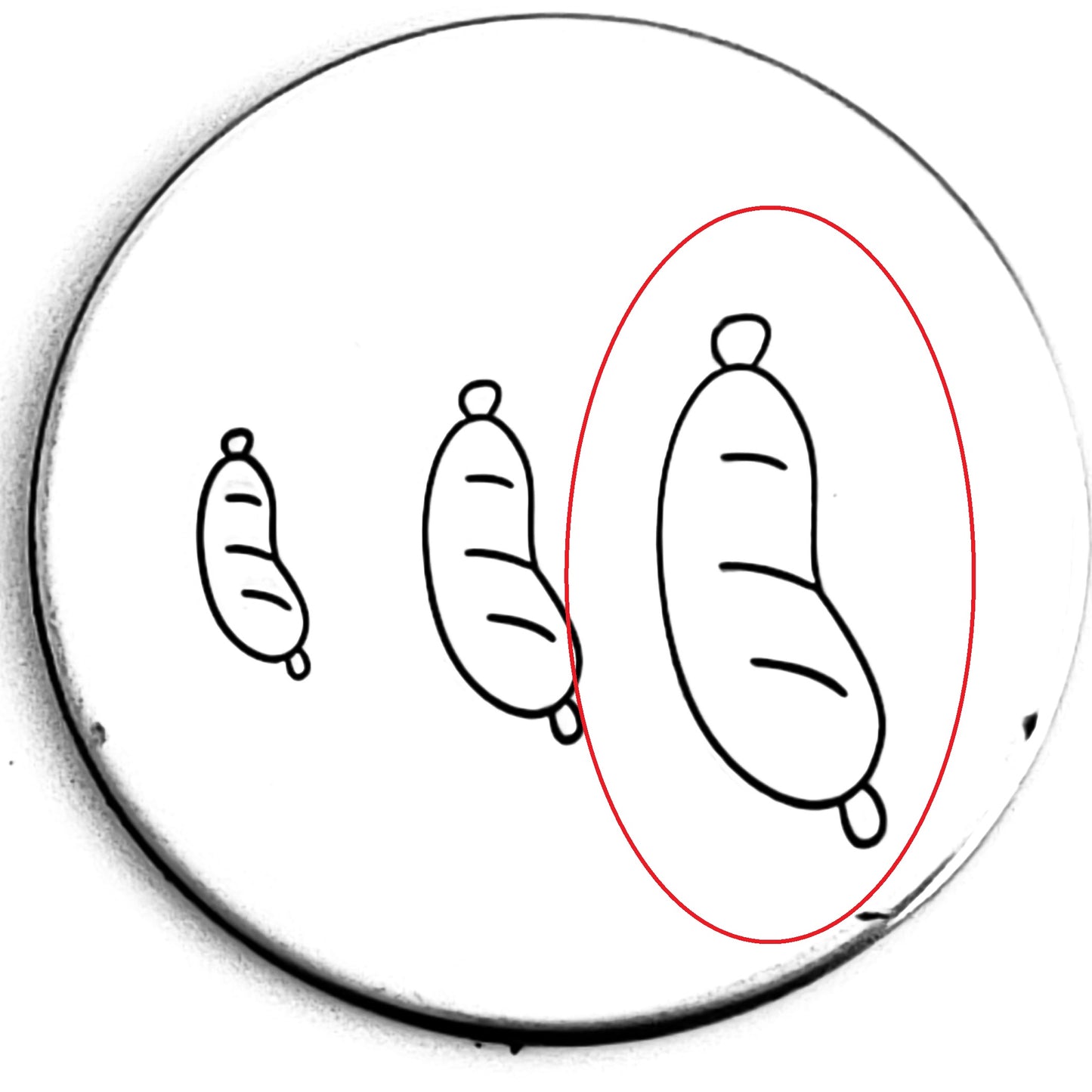 Sausage - OVERSTOCK
