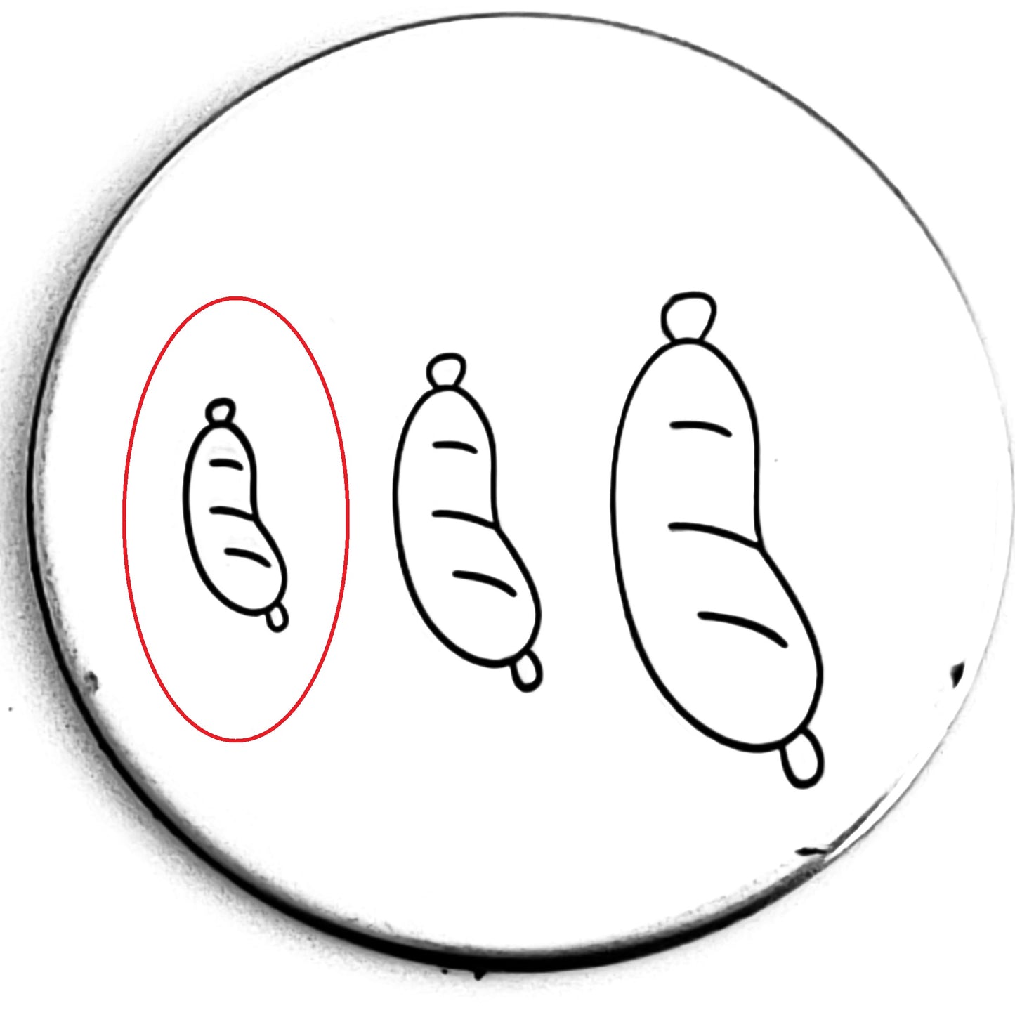 Sausage - OVERSTOCK