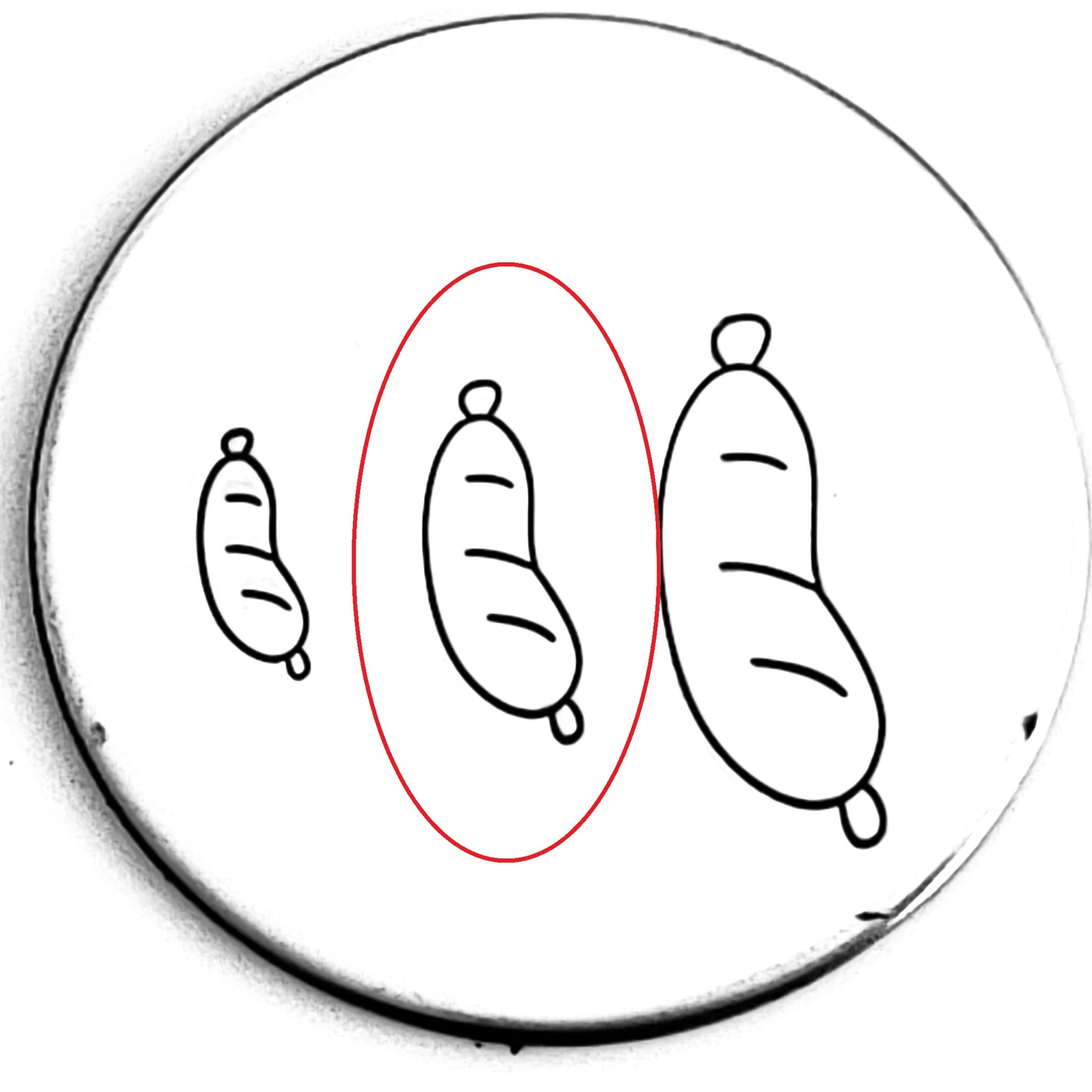 Sausage - OVERSTOCK