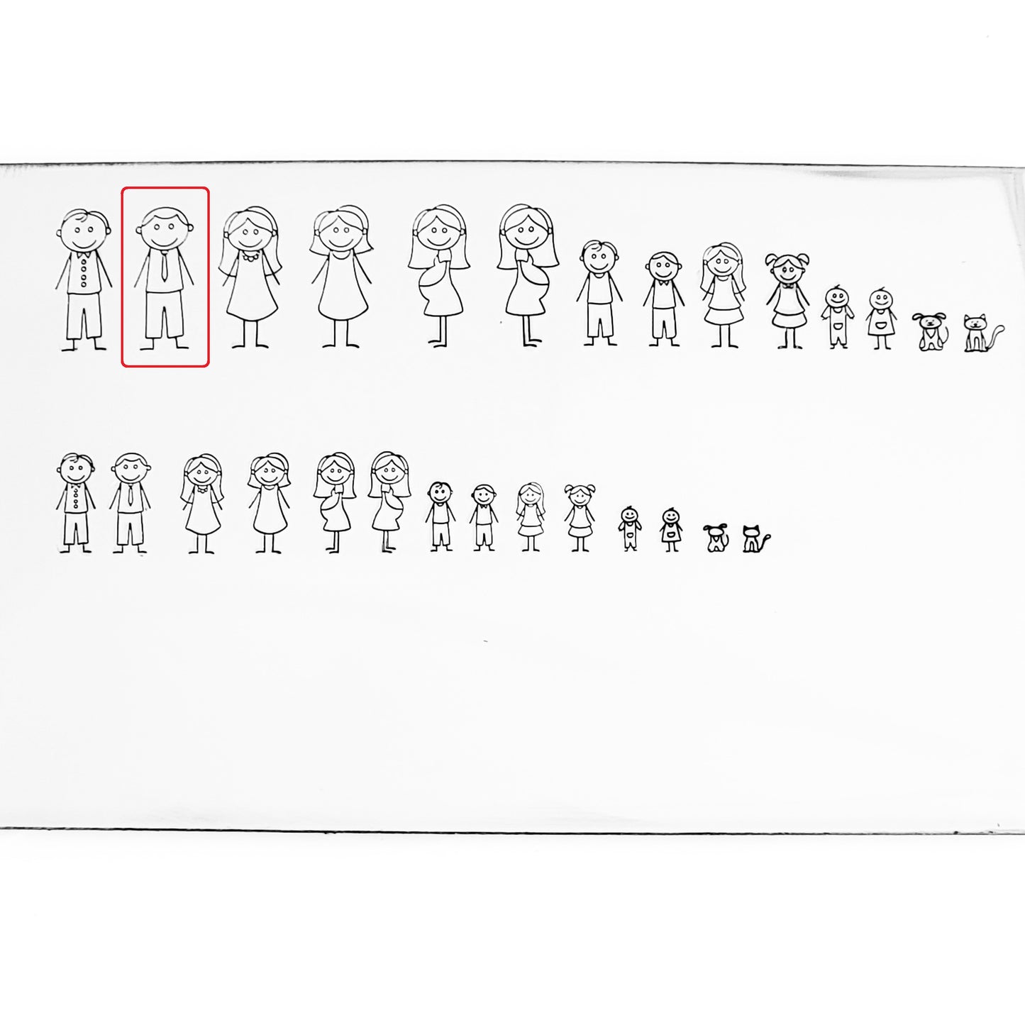 Stick Families