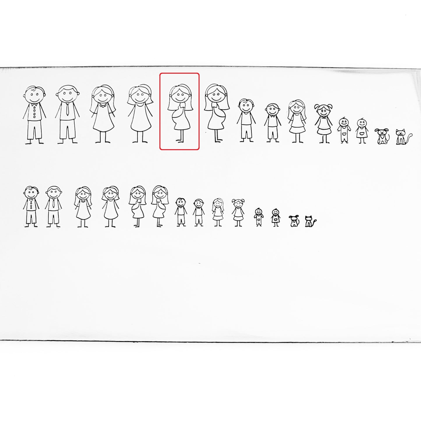 Stick Families