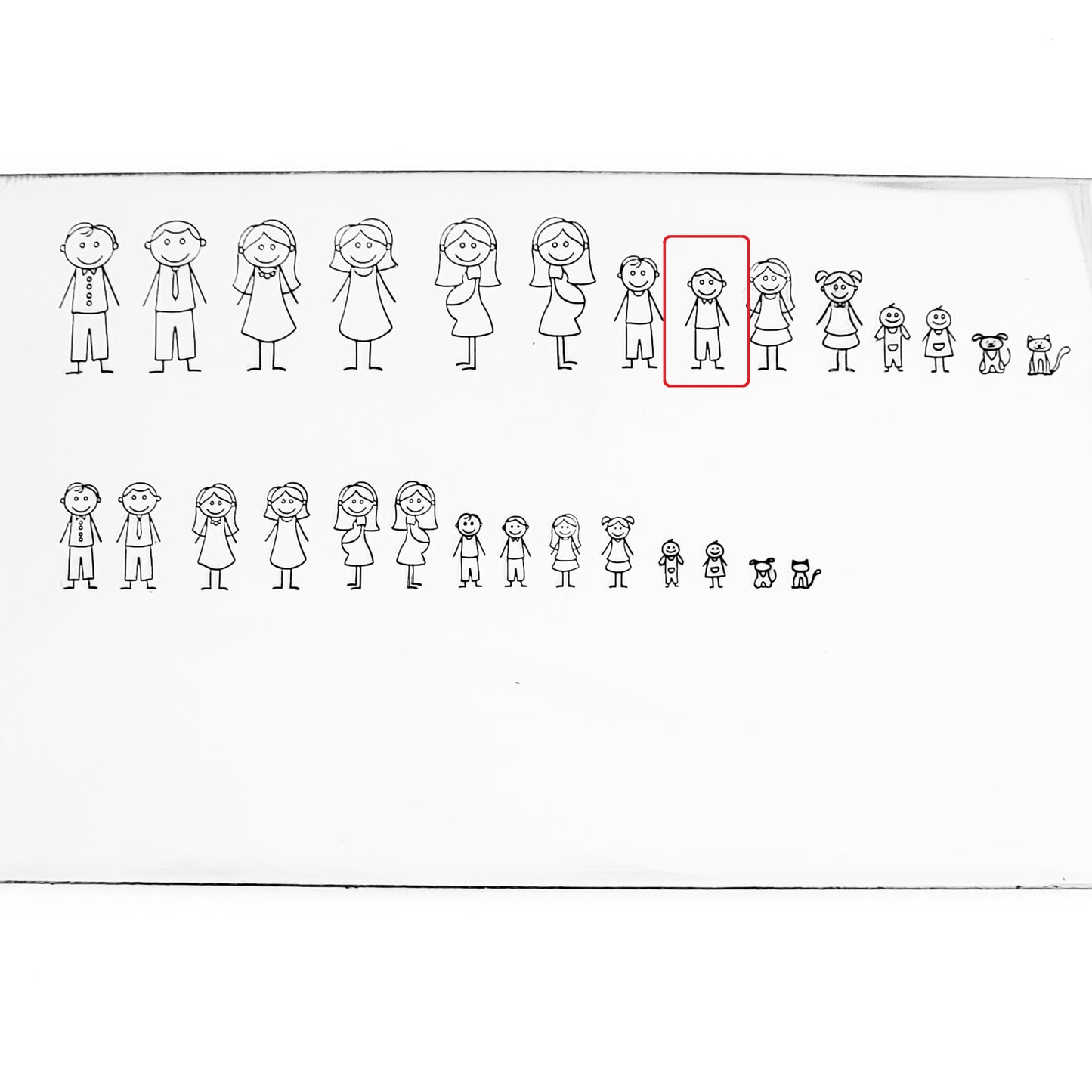 Stick Families