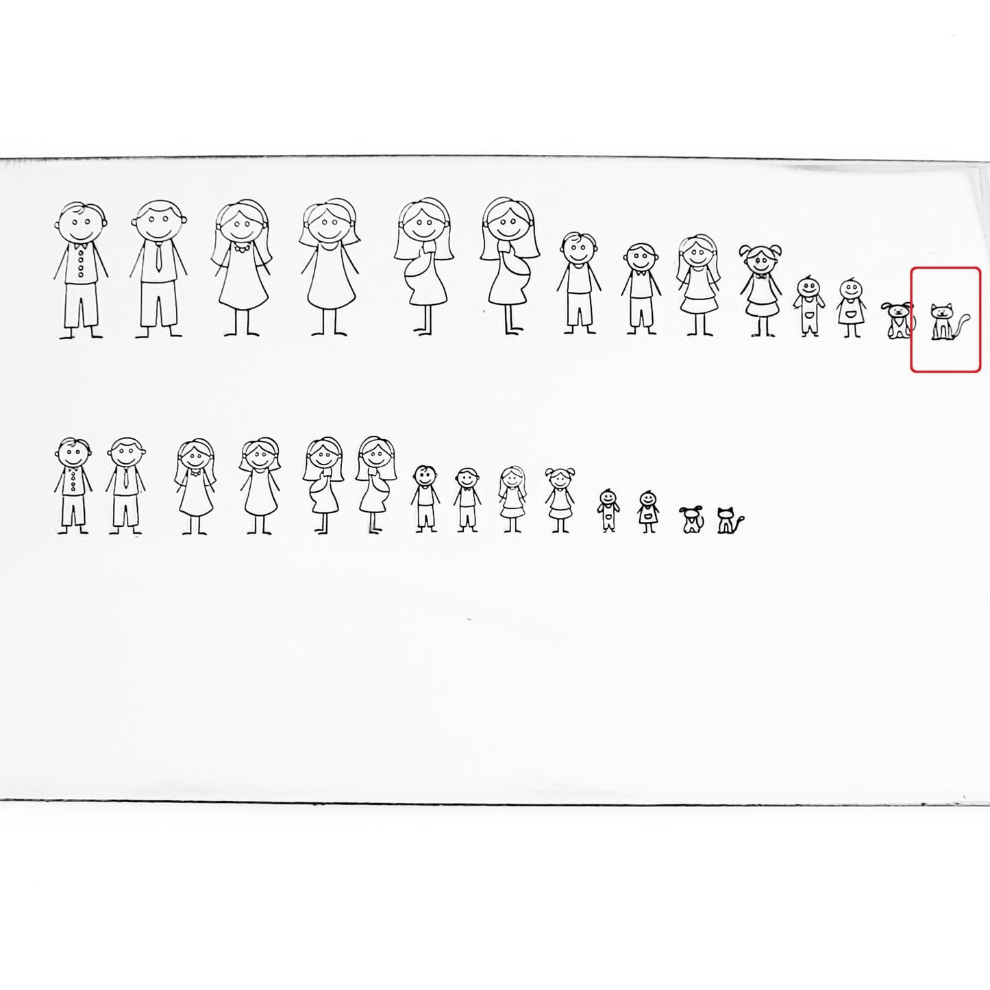 Stick Families