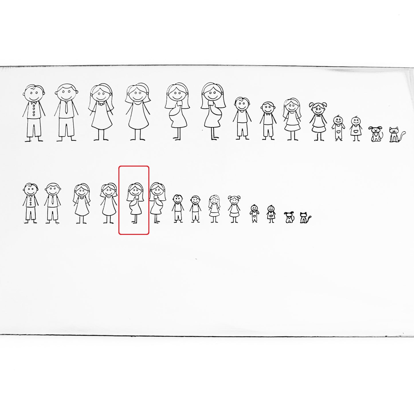 Stick Families